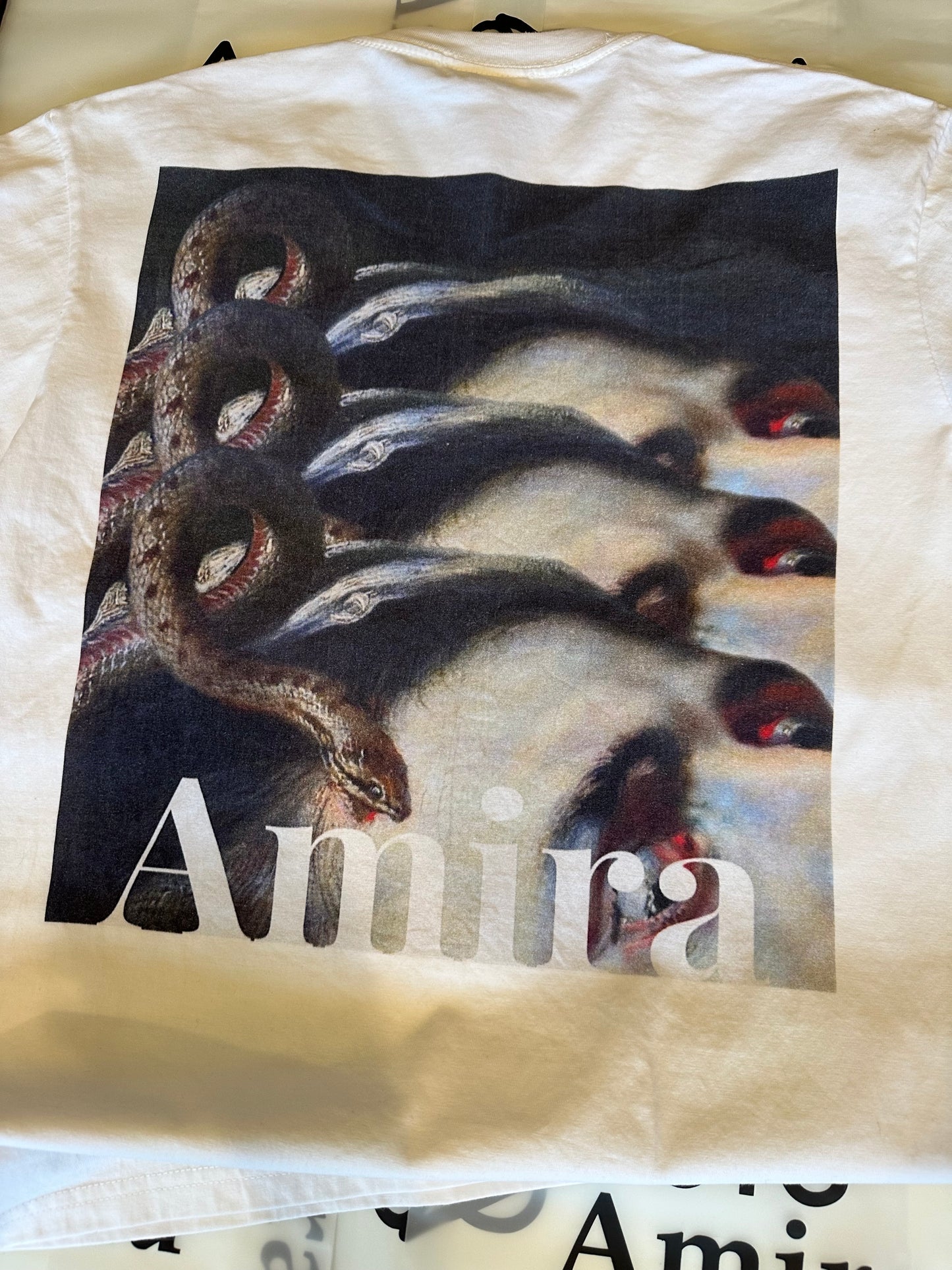 Amira Tshirt with Art